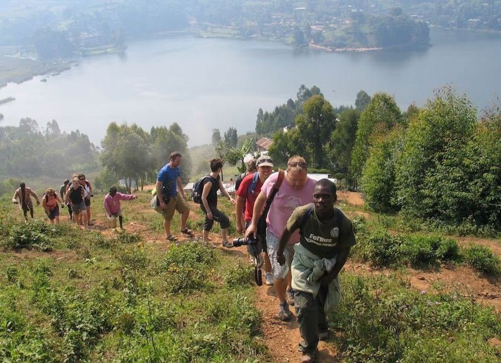 Groene palmbladeren in tropisch regenwoud tijdens groepsrondreis Uganda en Rwanda.