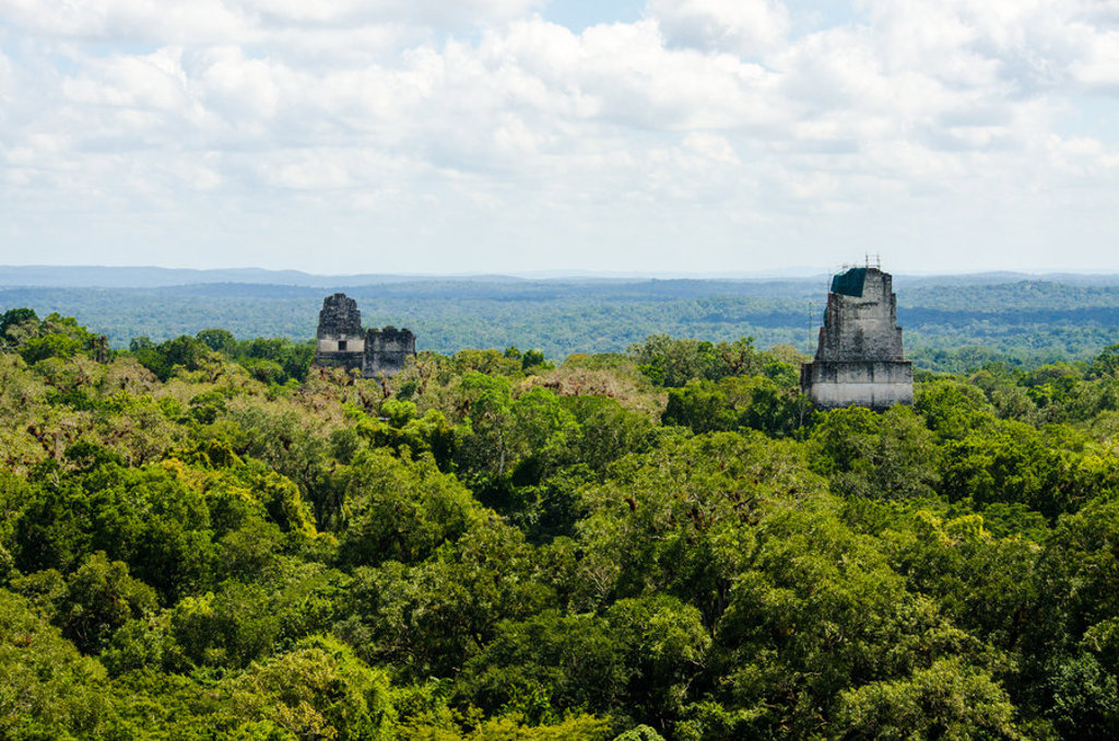 Maya-tempels boven het regenwoud van Tikal, Guatemala.