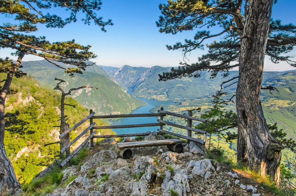 Uitzichtpunt met houten bankje over de Tara-kloof en rivier in Montenegro tijdens Familiereis Zuid-Oost Europa.