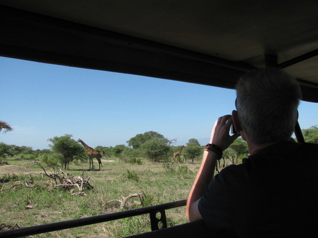 Reiziger fotografeert giraffen tijdens safari op de savanne in Kenia en Tanzania.