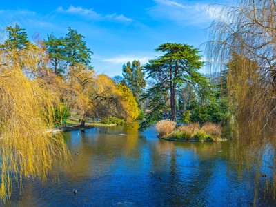 Vijver in Beacon Hill Park, Victoria, met treurwilgen en wandelpaden langs het water tijdens Route Canada.
