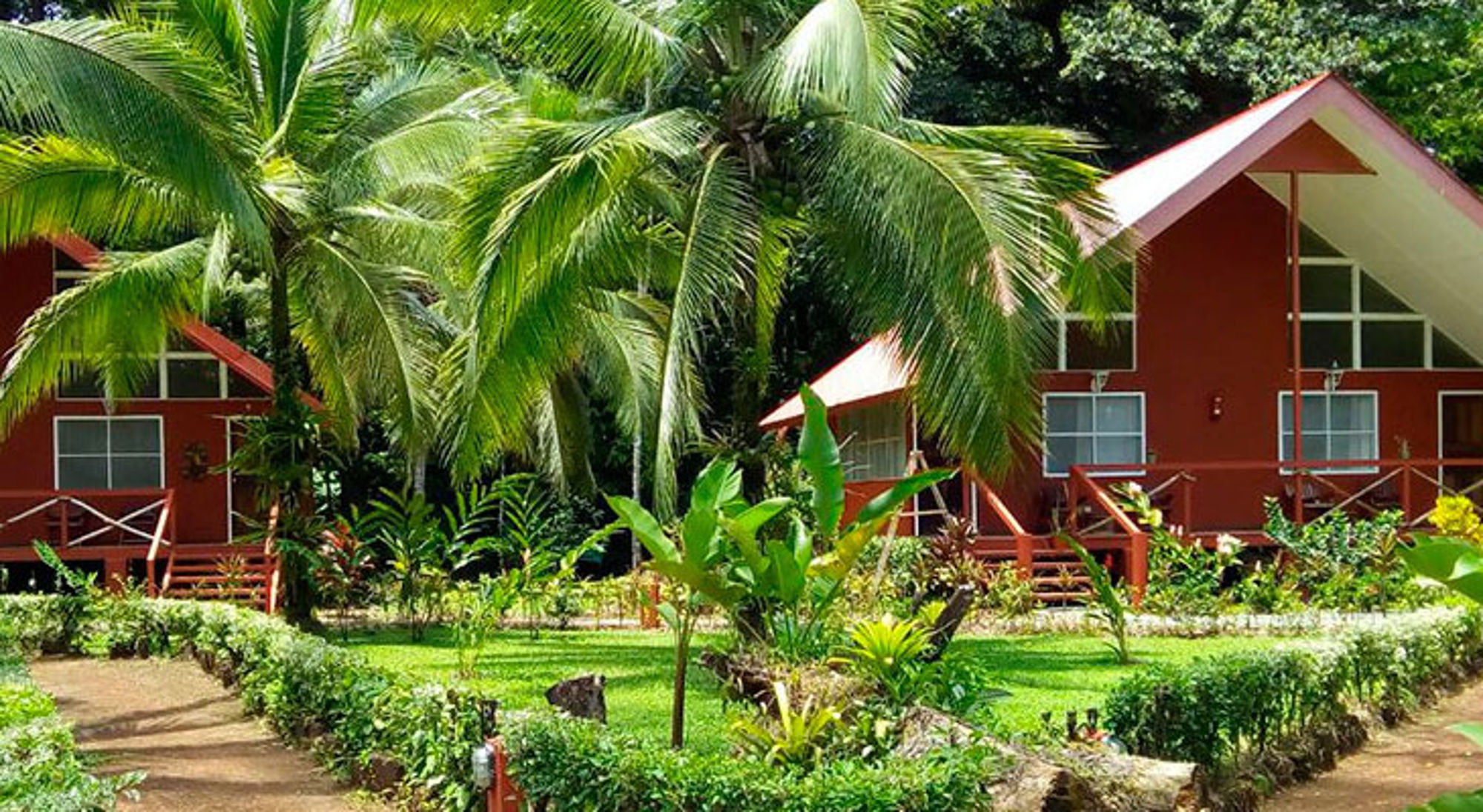 Accommodatie Tortuguero NP Tropische lodges tussen palmbomen en weelderige tuin in Costa Rica.