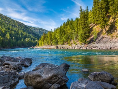 Rivier met rotsen en groene naaldbossen in de bergen langs de Route Canada.