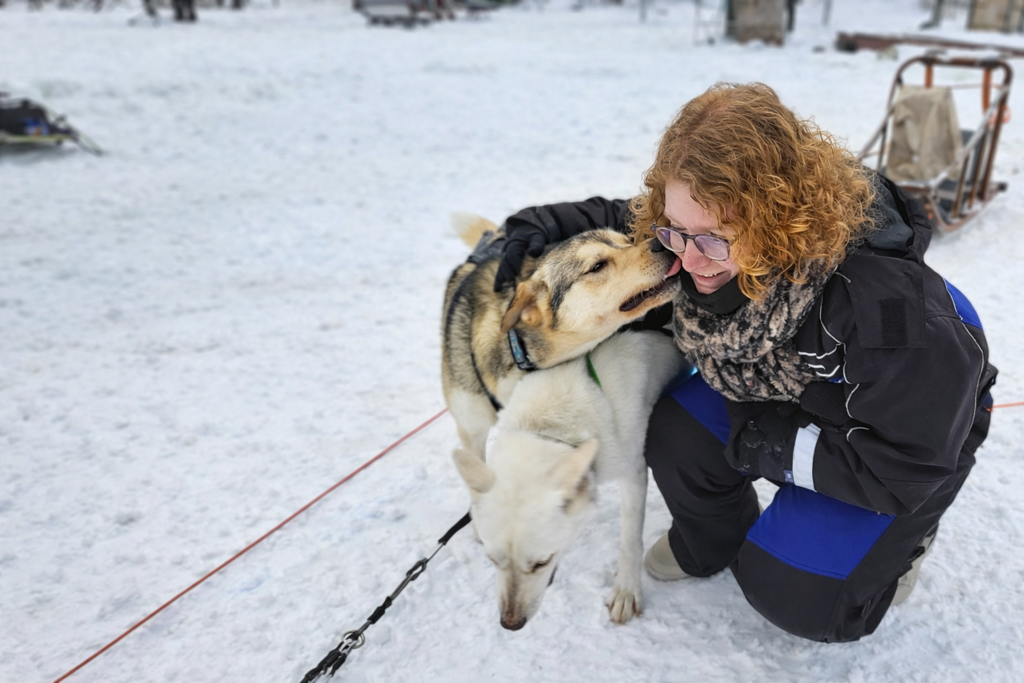 Reiziger knuffelt husky tijdens sneeuwsafari in Lapland bij Kylmäluoma, Finland.