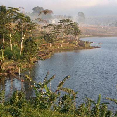 Groen landschap met rijstvelden en palmen langs een meer tijdens groepsrondreis Sumatra, Java en Bali.