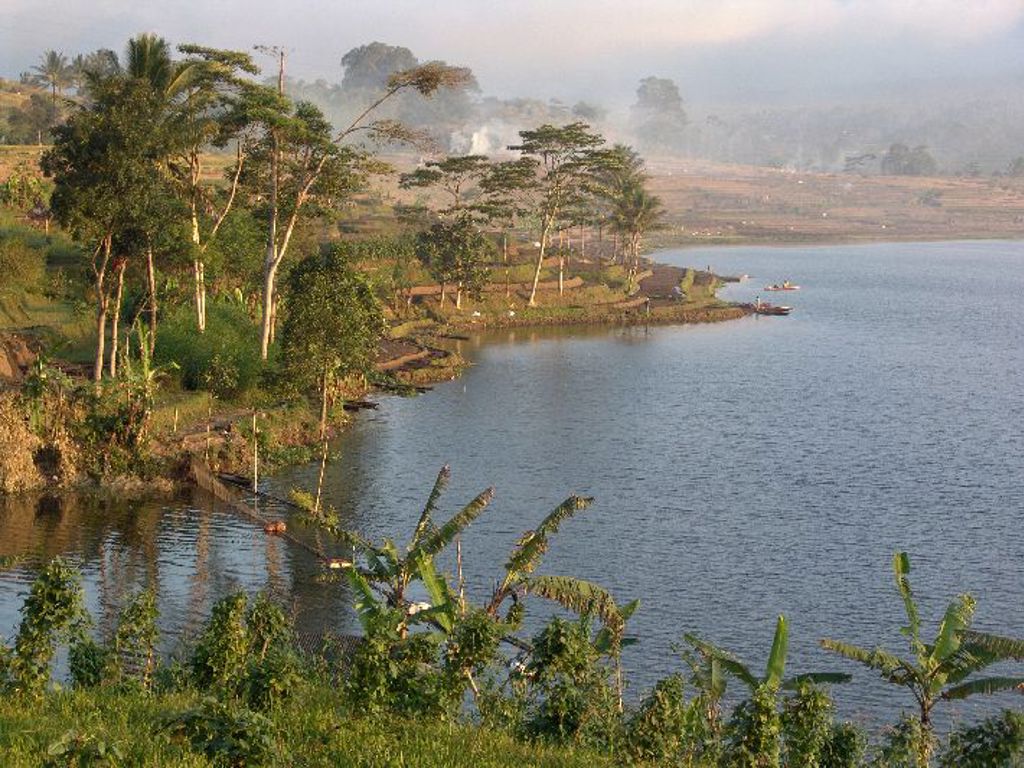 Groen landschap met rijstvelden en palmen langs een meer tijdens groepsrondreis Sumatra, Java en Bali.