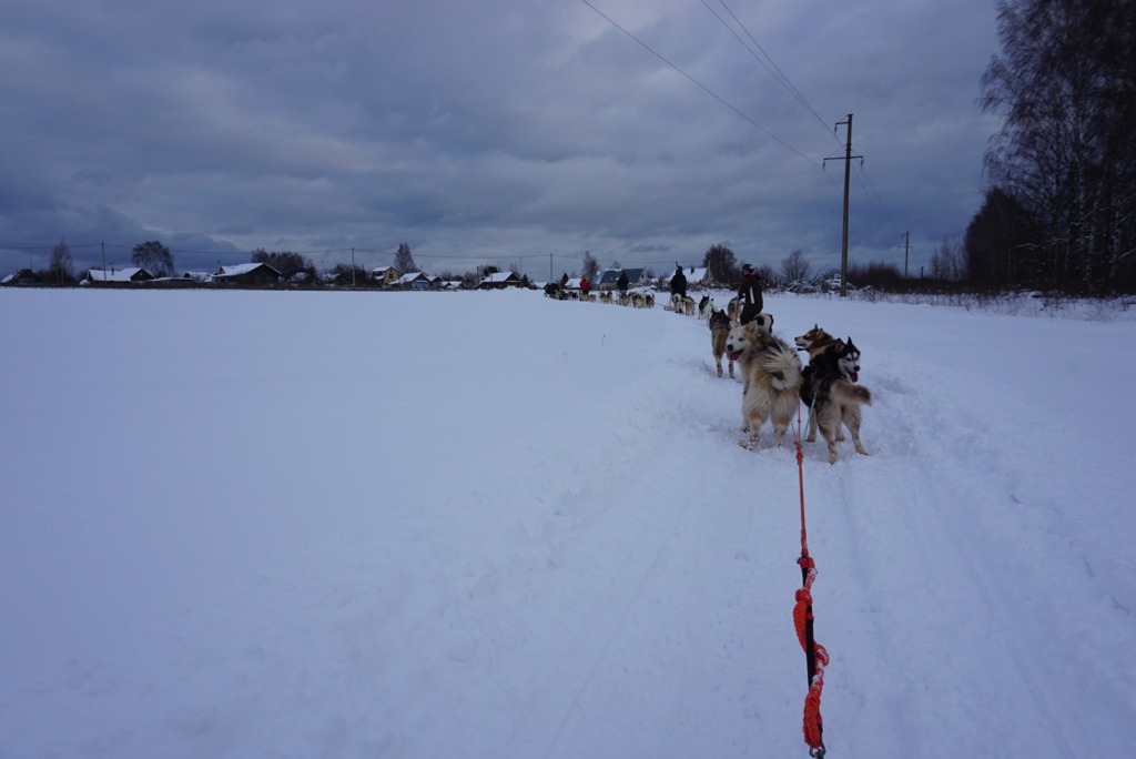 Besneeuwde vlakte met hondenslee in de winter tijdens groepsrondreis Rusland.
