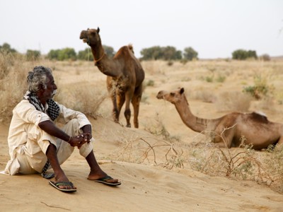 Man zit in de woestijn van Rajasthan met twee kamelen op de achtergrond.