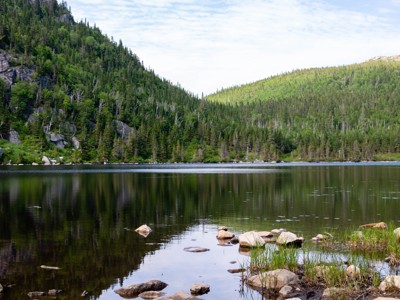 Bosmeer met rotsen en spiegeling, omringd door groene naaldbossen in Oost-Canada.