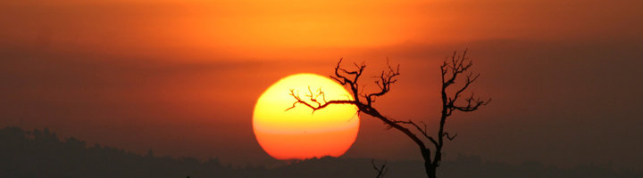 Zonsondergang boven Aberdare National Park in Kenia, met silhouet van kale boomtakken.
