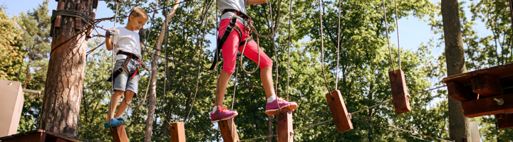 Kinderen klimmen in een klimpark tussen de bomen op een touwparcours met houten plankjes.