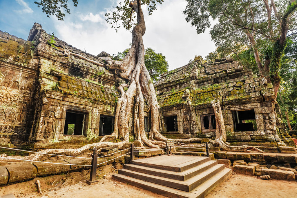 Ta Prohm-tempel bij Angkor, Cambodja, met enorme boomwortels over de eeuwenoude stenen muren.