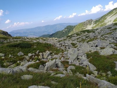 Berglandschap met besneeuwde toppen en bomen langs de route door Albanië, Kosovo en Noord-Macedonië.