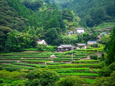 Groene rijstterrassen en huizen in een bergdorp, Route Japan dag 13.