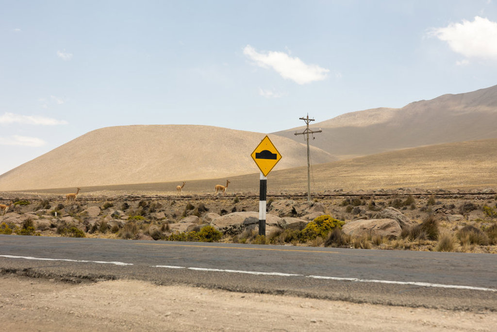 Weg door het Andeslandschap in Peru met vicuña’s en verkeersbord bij heuvels onder blauwe lucht.