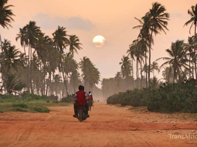 Palmbomen langs de kust op dag 2 van de reisroute Ghana, Togo en Benin.