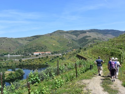 Wandelaars langs wijngaarden met uitzicht op de Douro-rivier in de Douro Vallei, Portugal.