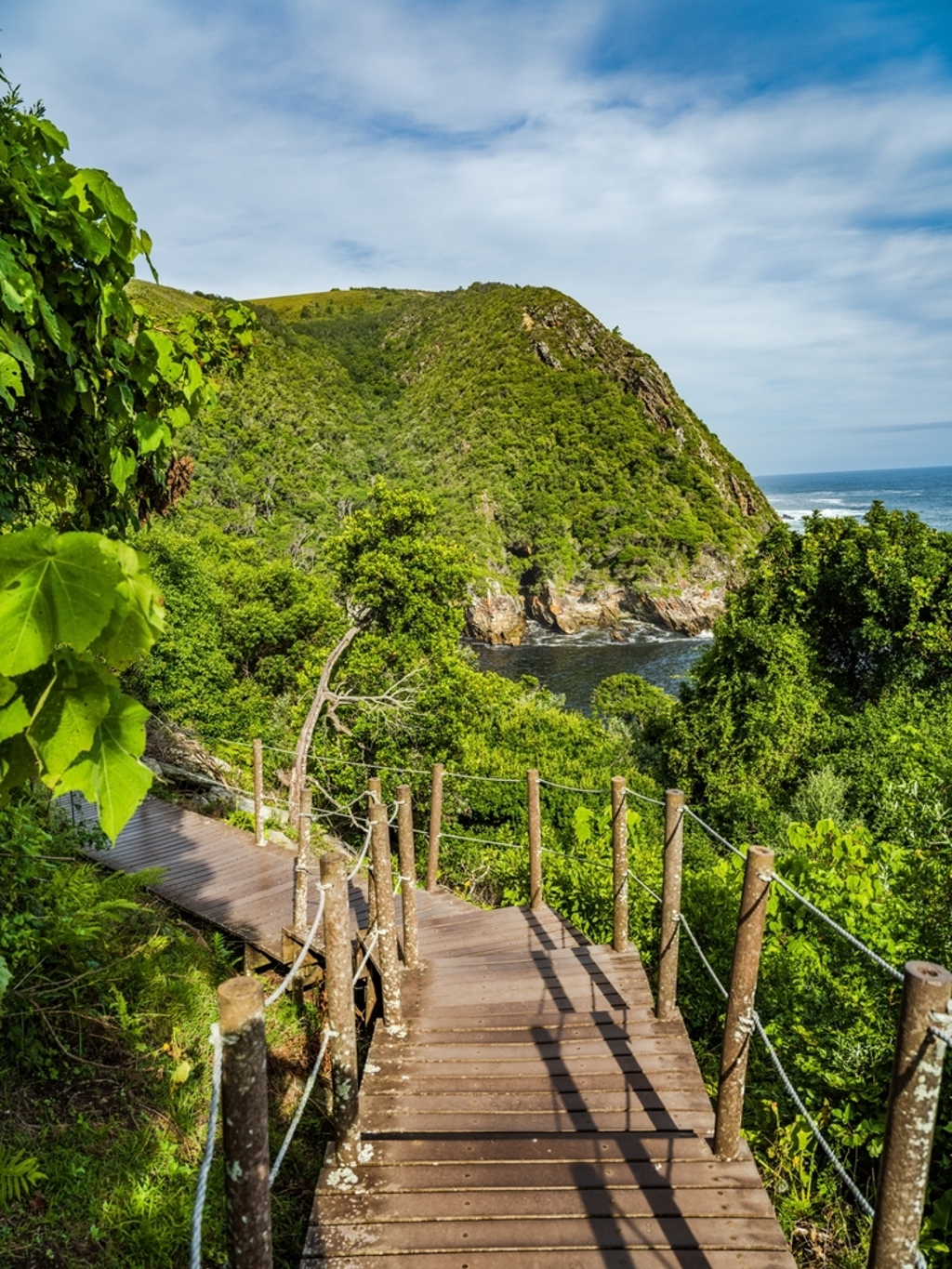 Houten wandelpad langs de groene kust bij de Tuinroute in Zuid-Afrika, met uitzicht op zee en kliffen.