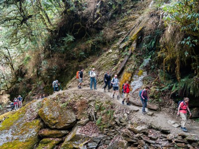 Wandelaars op een smal bergpad door een groen bos tijdens de Route Nepal.