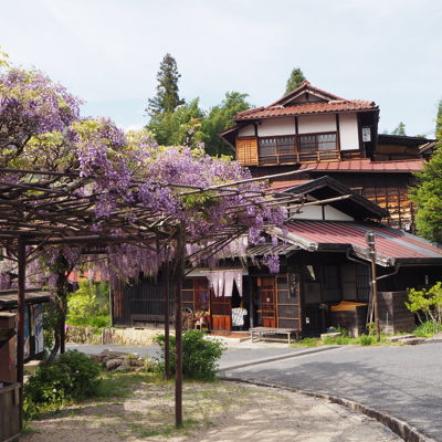 Traditionele houten huizen en paarse blauweregen in een dorp tijdens een groepsrondreis door Japan.