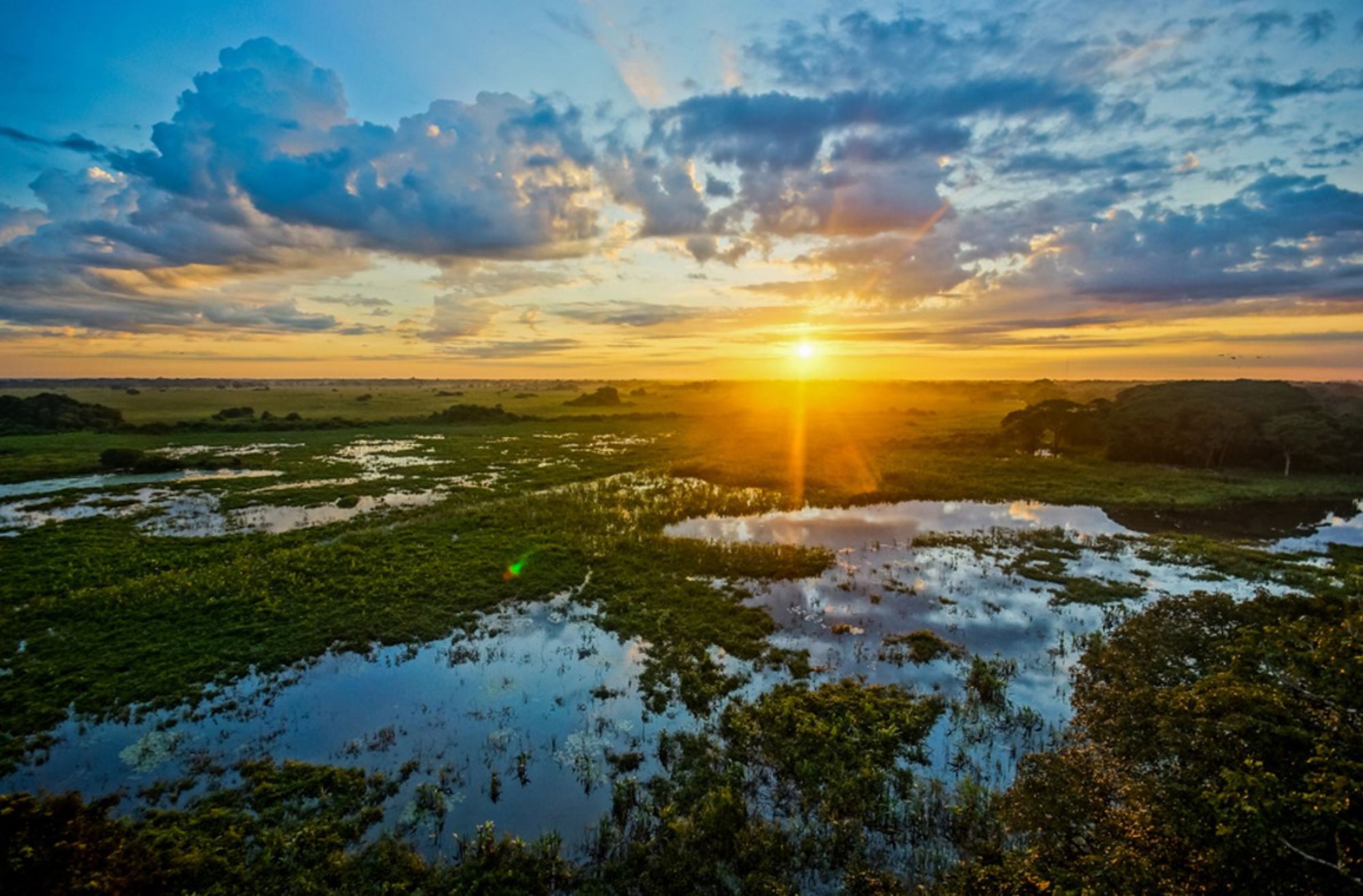 Zonsondergang boven de wetlands van de Pantanal in Brazilië, met waterplassen en groene vlaktes.