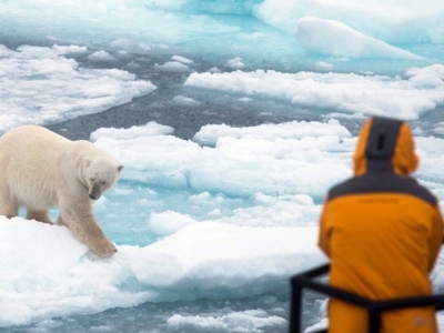 IJsbeer op drijvend zee-ijs bij Spitsbergen, bekeken vanaf een expeditieschip.