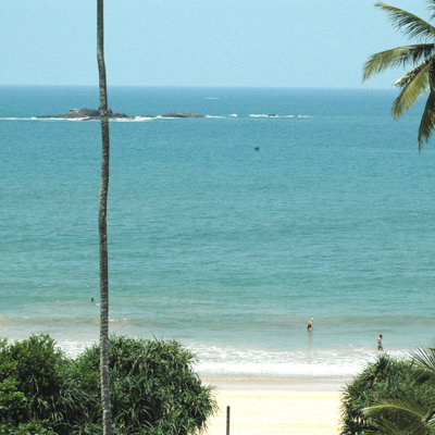 Uitzicht op een strand in Sri Lanka met palmbomen, blauwe zee en zwemmers tijdens een groepsrondreis.