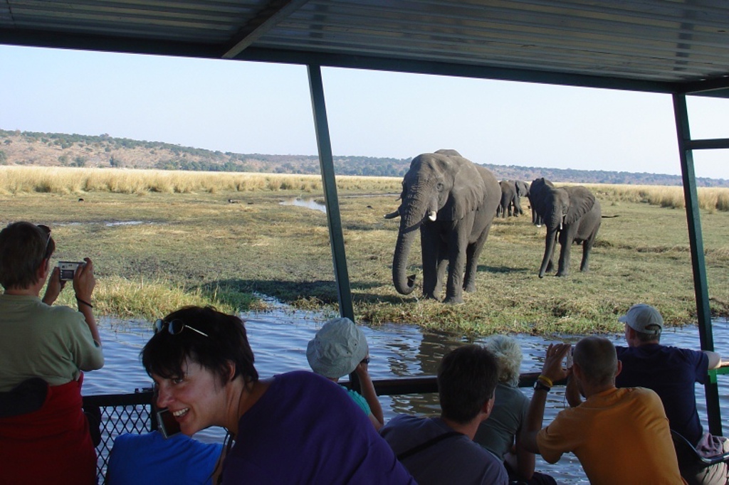 Safari per boot langs olifanten in Zuidelijk Afrika tijdens een groepsrondreis met kamperen.