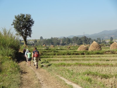 Wandelaars op een pad langs rijstvelden en hooibergen in Myanmar, met heuvels op de achtergrond.