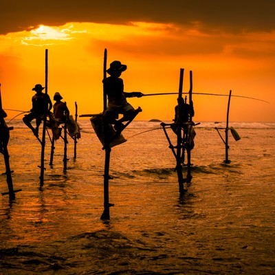 Groepsrondreis Sri Lanka Hoogtepunten