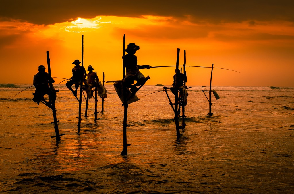 Stokvissers bij zonsondergang aan de kust van Sri Lanka tijdens een groepsrondreis.