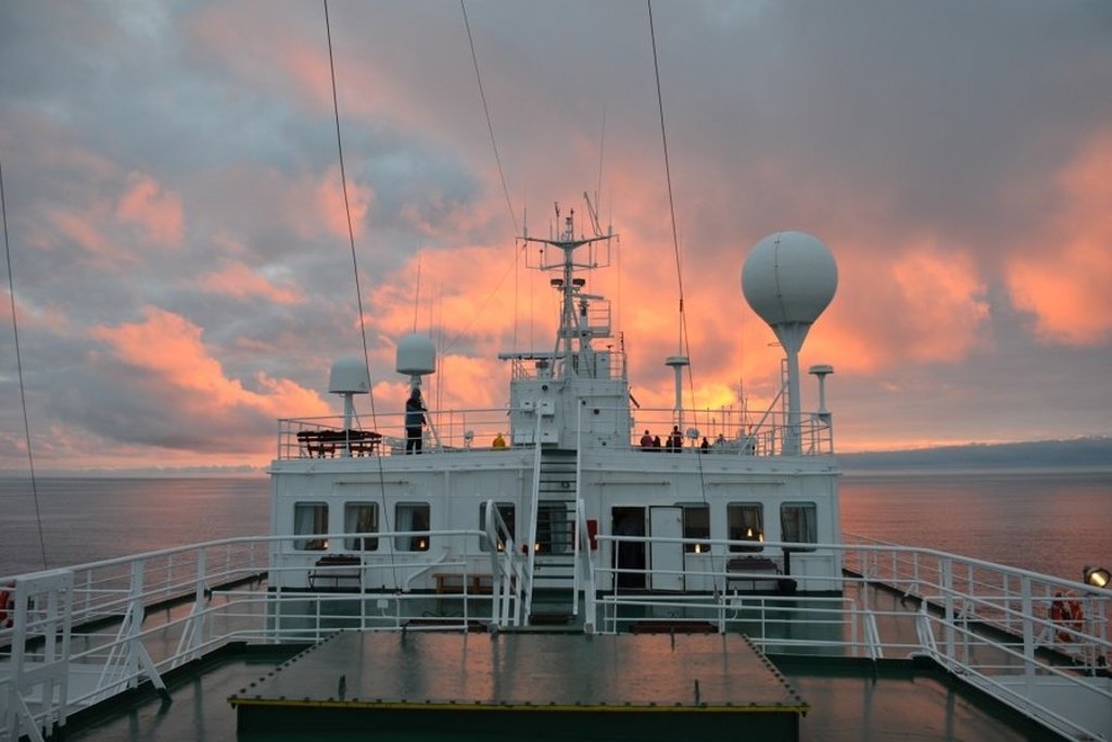 Zeevogel in vlucht boven de Arctische oceaan tijdens de groepsrondreis Vier Arctische eilanden.
