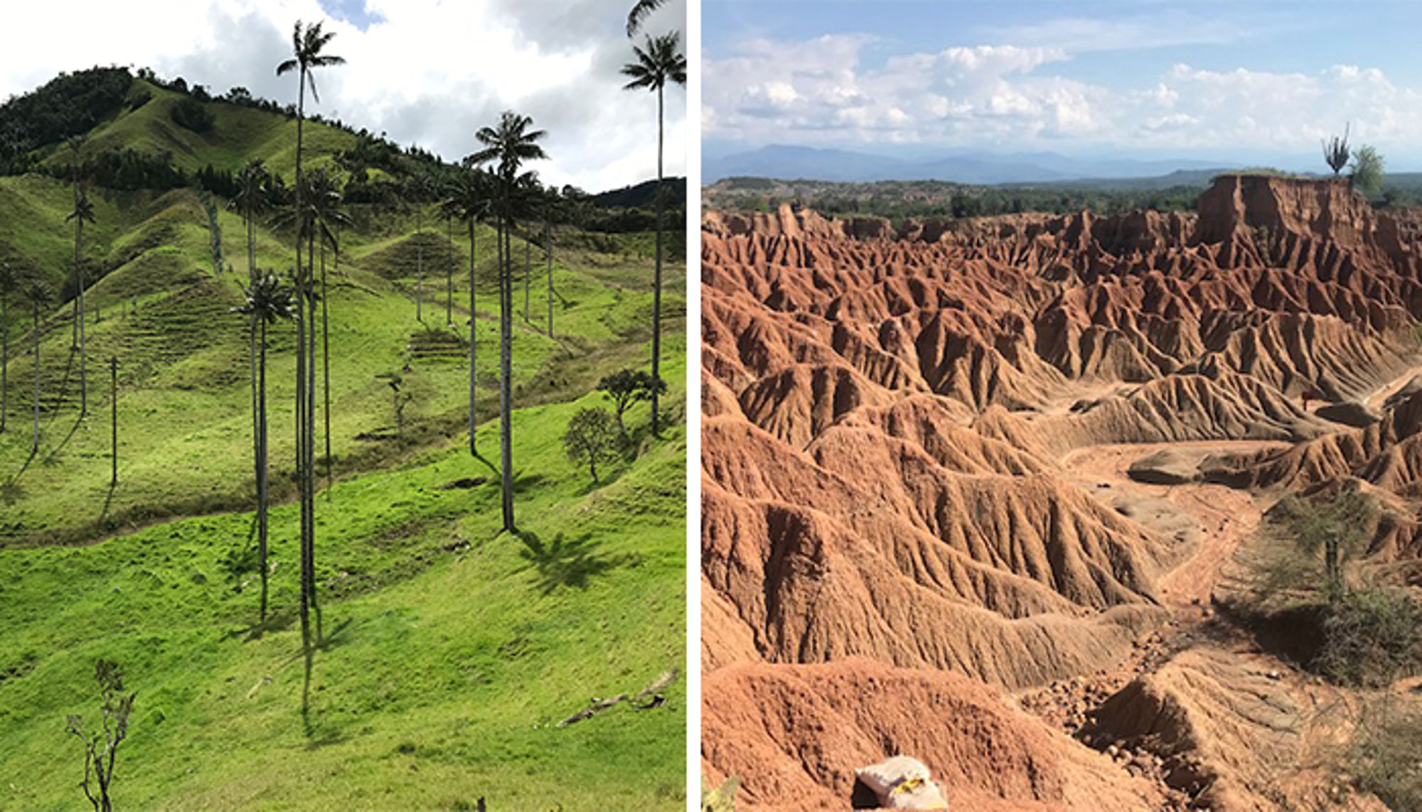 Contrasterend landschap met groene heuvels en palmbomen naast een rood, geërodeerd rotslandschap.