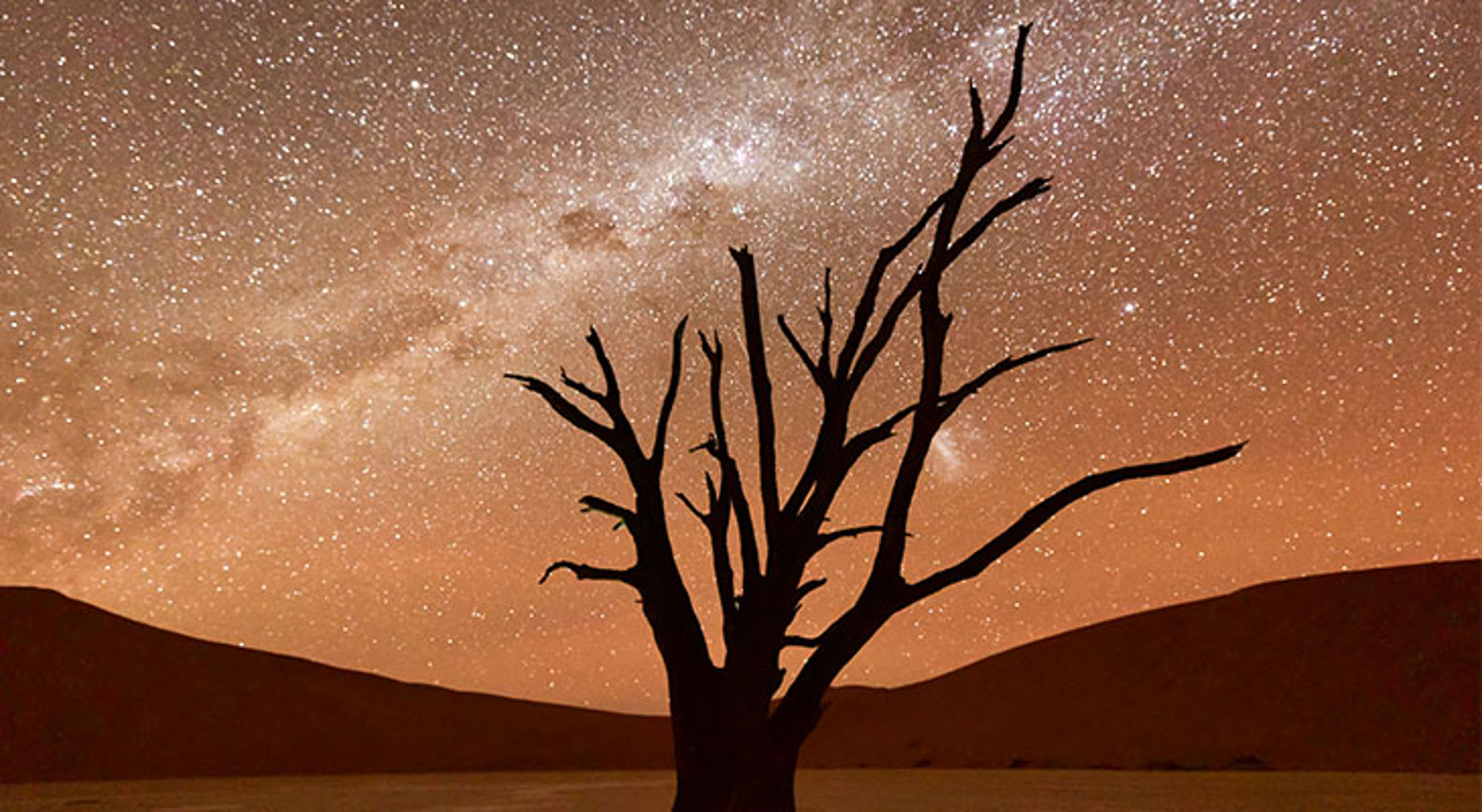 Dode Vlei bij zonsondergang in Sossusvlei, Namibië Dode acaciaboom in de Namibwoestijn met zandduinen en de Melkweg aan de sterrenhemel.