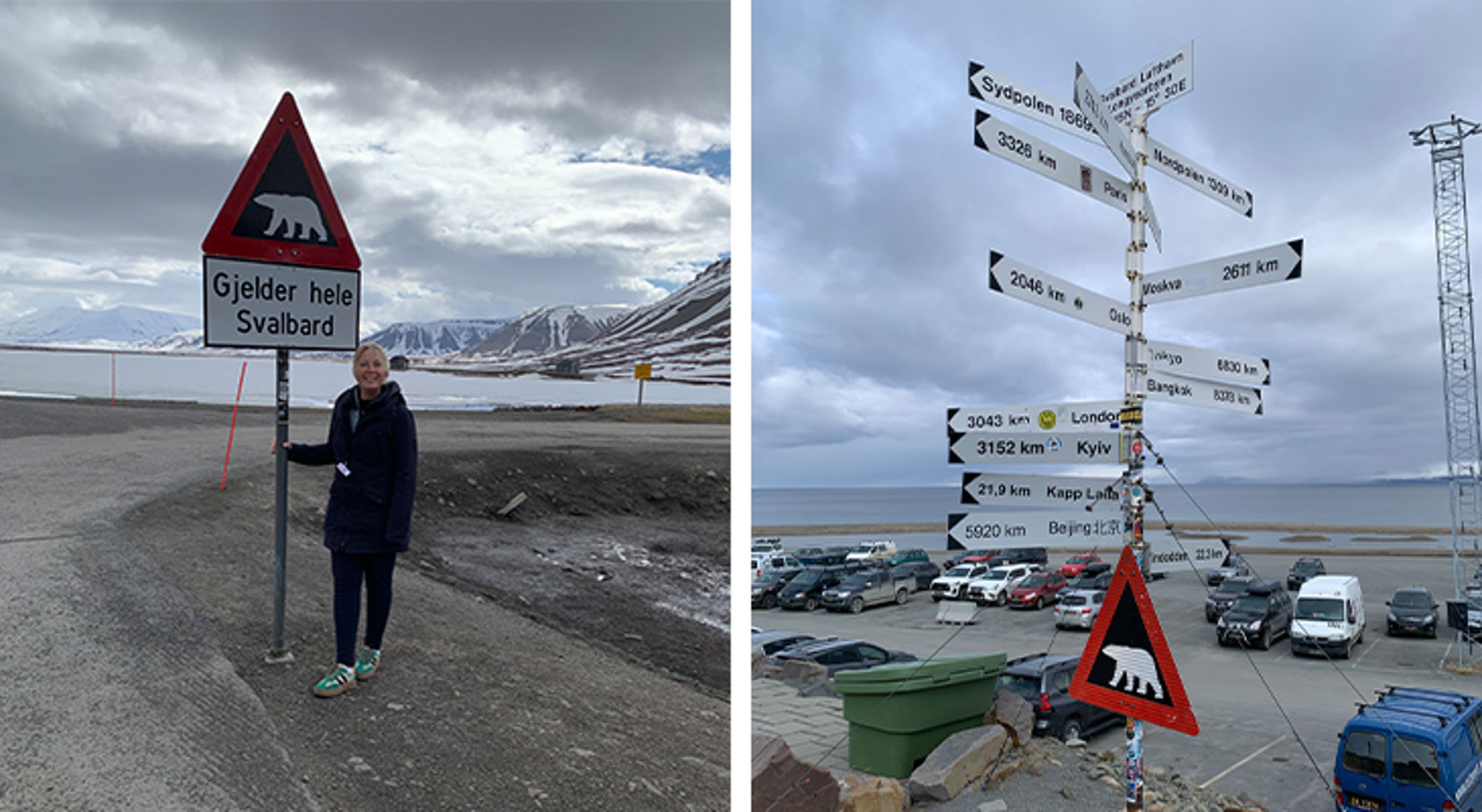 IJsbeer bord Verkeersborden met ijsbeerwaarschuwing op Svalbard, met berglandschap en wegwijzer met afstanden op de achtergrond.