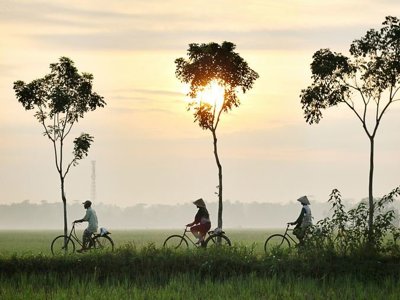 Mistige heuvels met silhouetten van bomen langs de route tijdens een fietsvakantie in Vietnam.