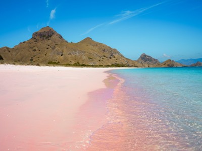 Roze zandstrand met helderblauw water en heuvels op de Kleine Sunda eilanden-route.