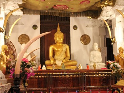Gouden Boeddhabeeld in een tempel in Sri Lanka, omringd door bloemen en decoraties.
