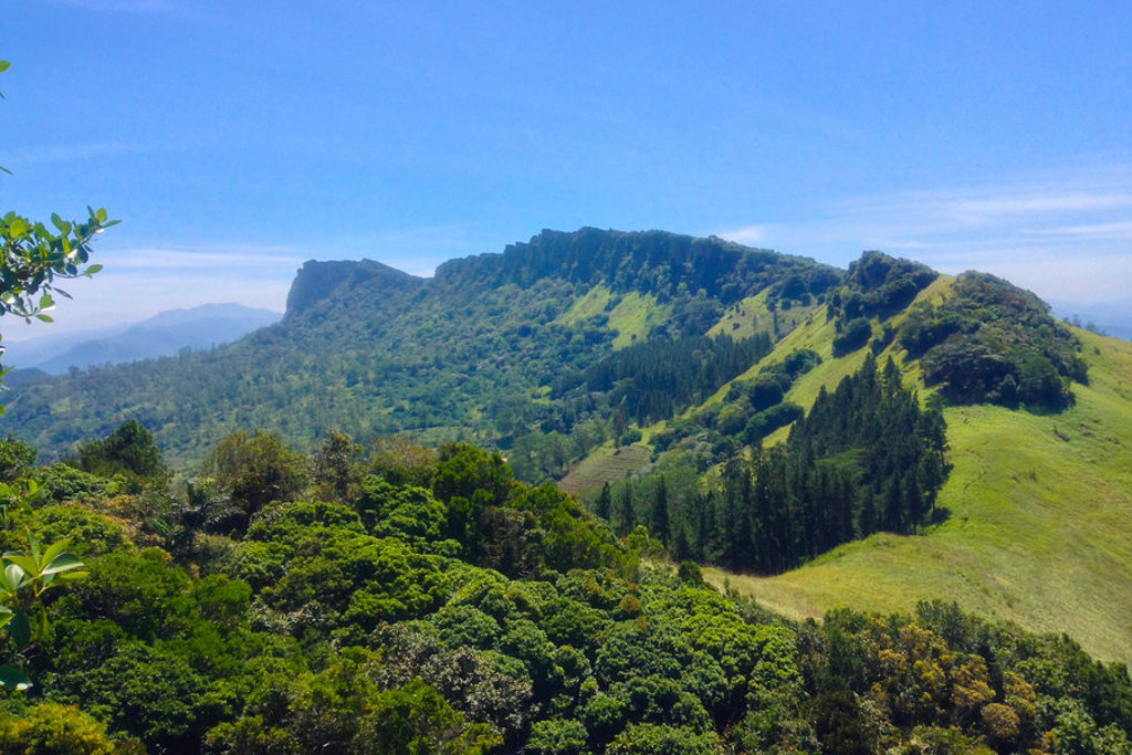 Groene berghellingen en bossen in het binnenland van Sri Lanka, uitzicht tijdens een fietsvakantie.