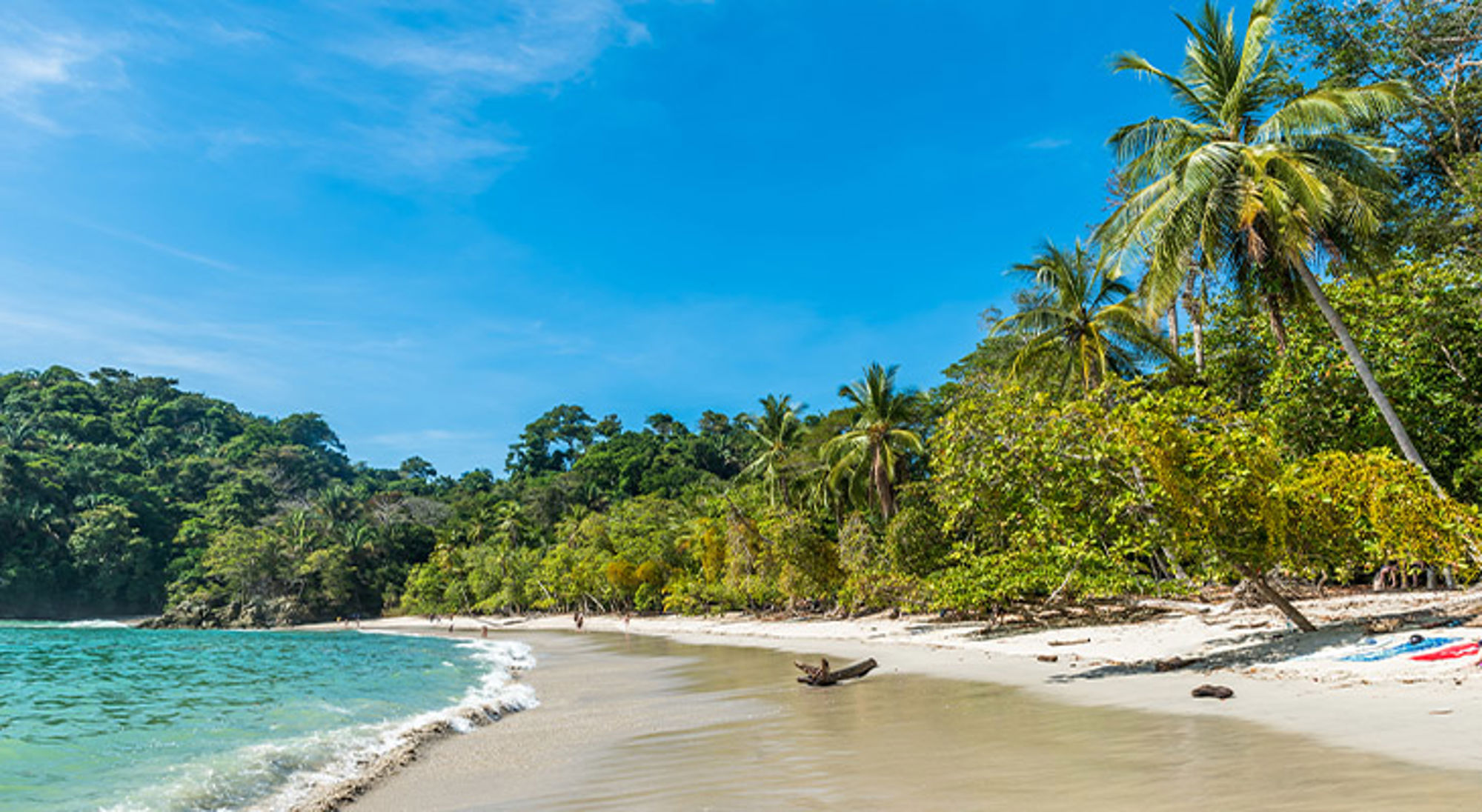 Manuel Antonio Costa Rica Tropisch zandstrand met palmbomen en groene jungle aan een azuurblauwe zee.