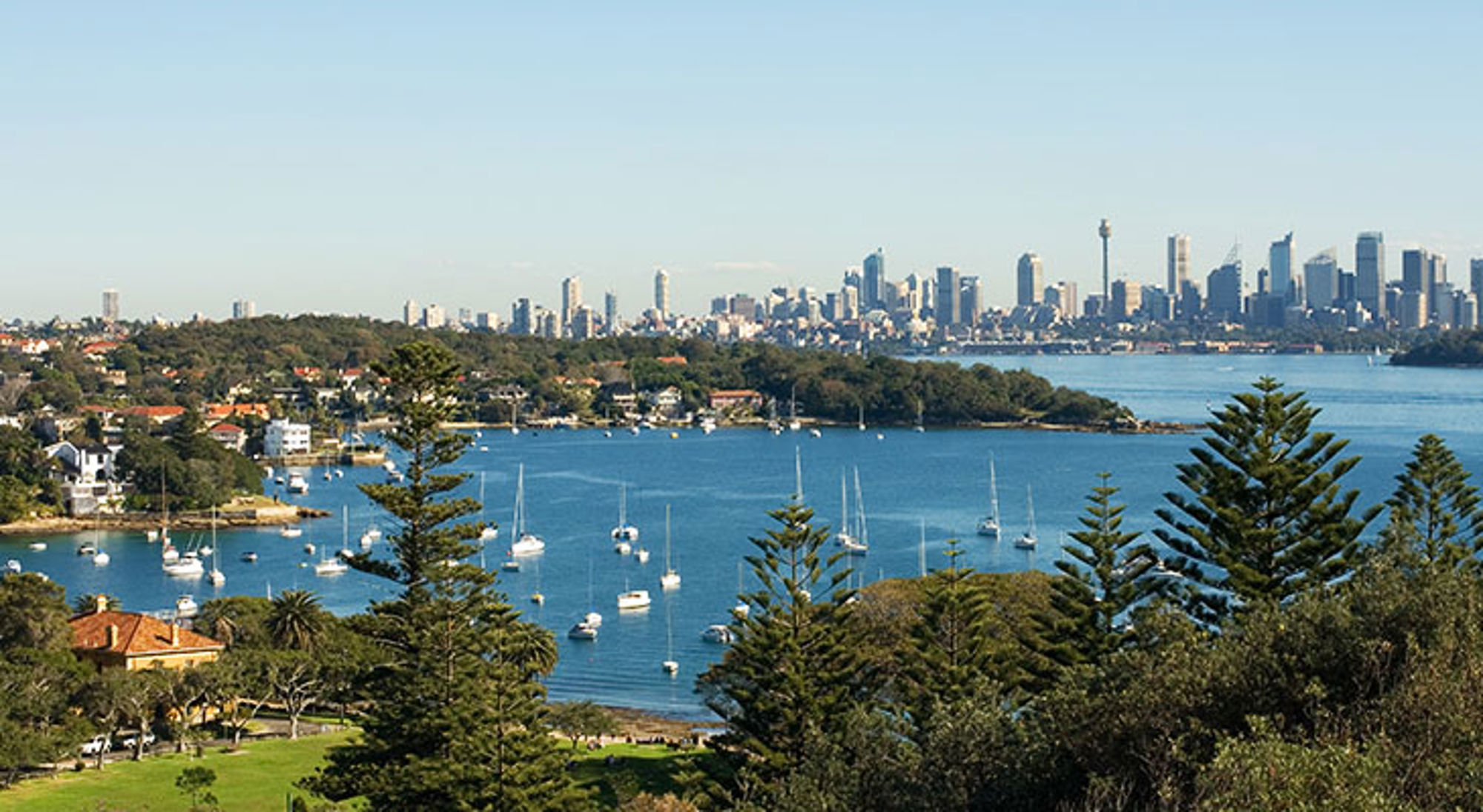 Uitzicht over Sydney Harbour met zeilboten en de skyline van Sydney op de achtergrond.