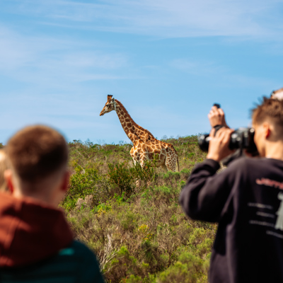 Gezin fotografeert een giraffe tijdens safari in Zuid-Afrika, Tuinroute en Kruger.