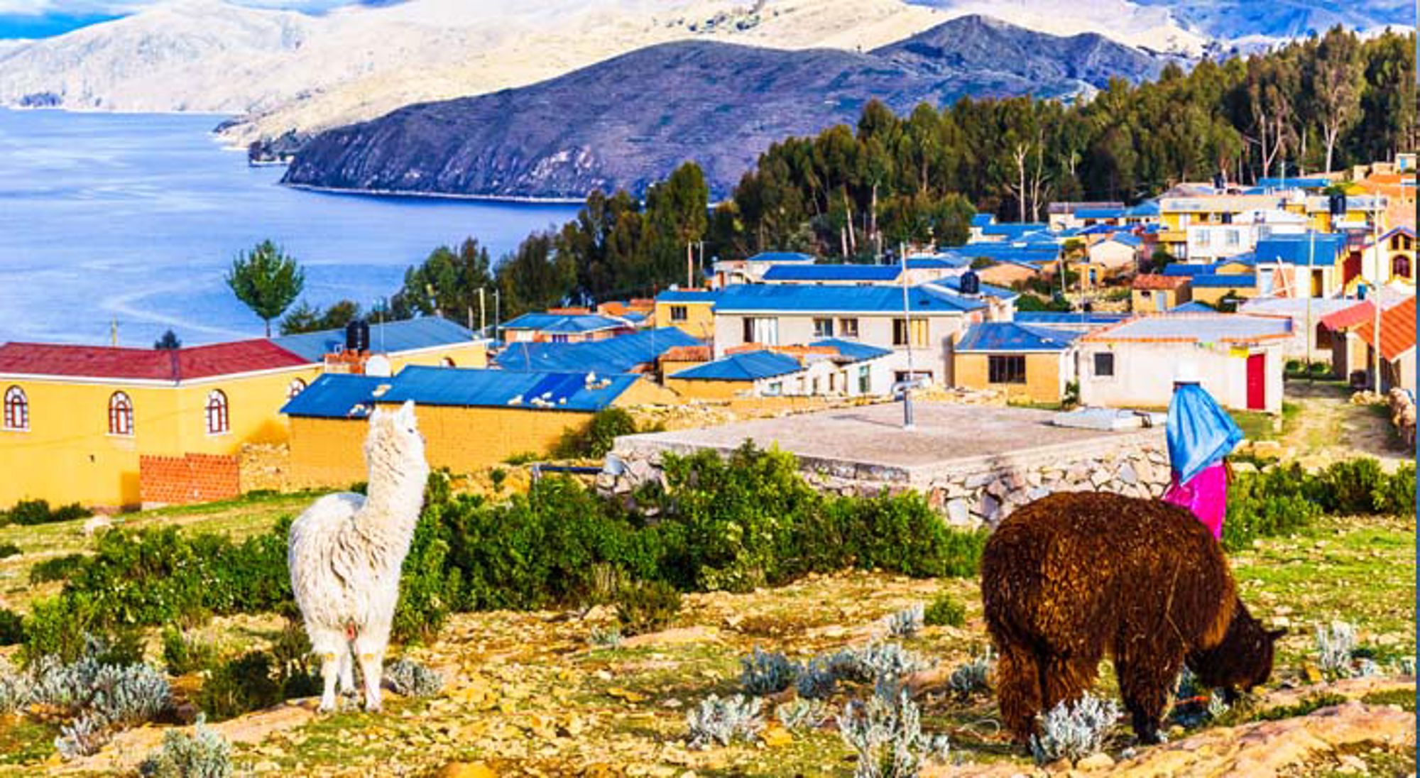 Uitzicht op het landschap van Bolivia met bomen en heuvels.