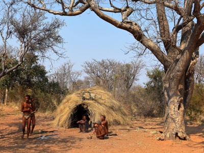 Traditionele hut van gras met lokale bewoners in de bush van Namibië tijdens de route Victoria Falls–Kaapstad.