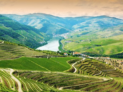 Terrasvormige wijngaarden in de Dourovallei met rivier en groene heuvels, tijdens familiereis Spanje & Portugal.