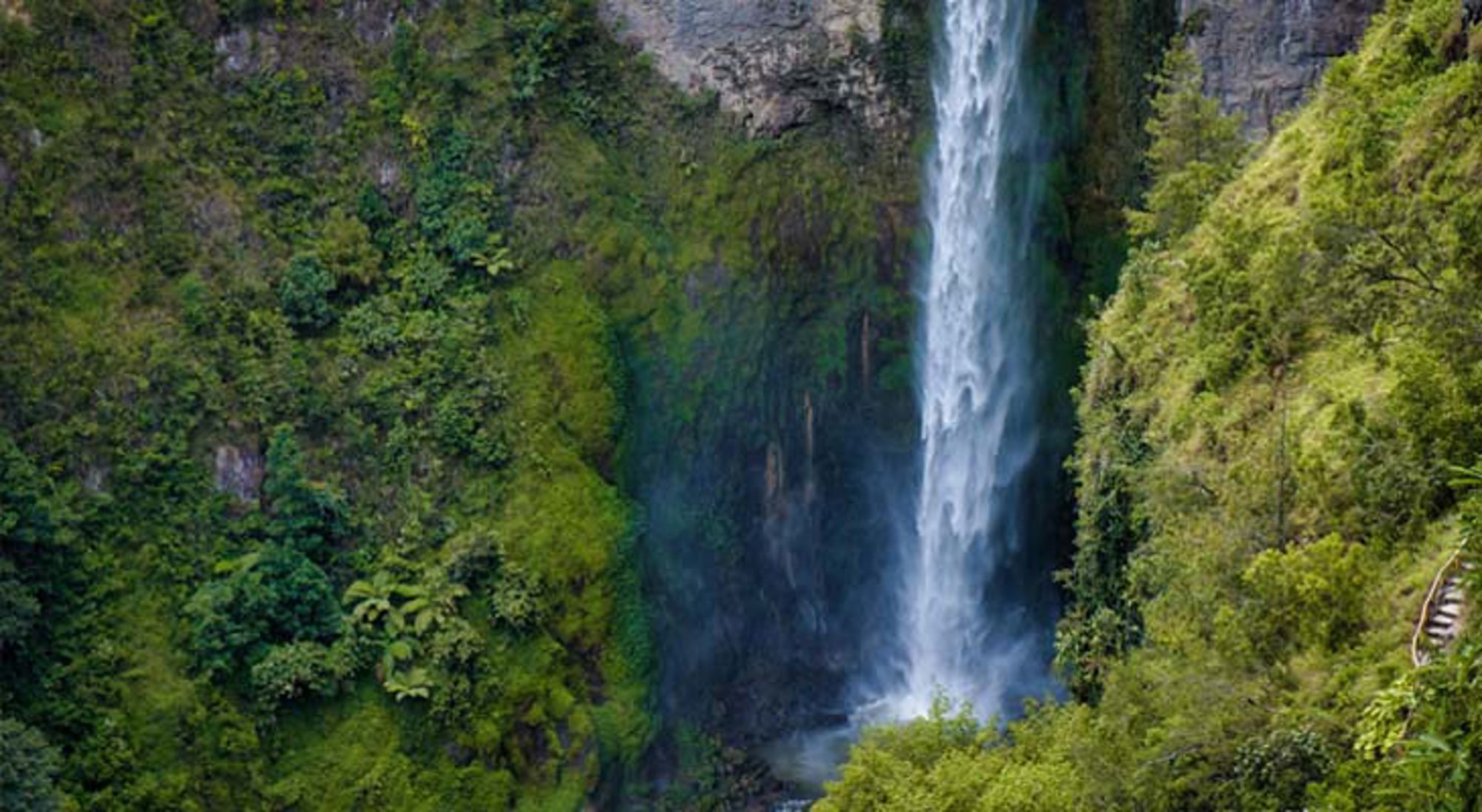 Sipiso Piso Waterfall Indonesië Mistig tropisch boslandschap met hoge bomen in Indonesië.
