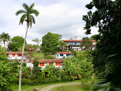 Kleurrijke huizen tussen palmen en tropisch groen tijdens rondreis Cuba hoogtepunten 17 dagen.