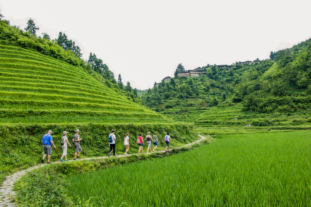 Wandelaars in rijstterrassen tijdens familiereis China.