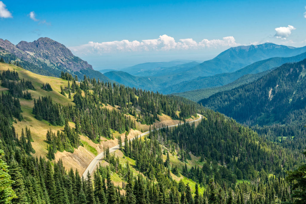Panoramisch uitzicht op berglandschap met kronkelende weg door naaldbossen in het noordwesten van de Verenigde Staten.