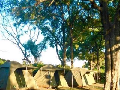 Tent